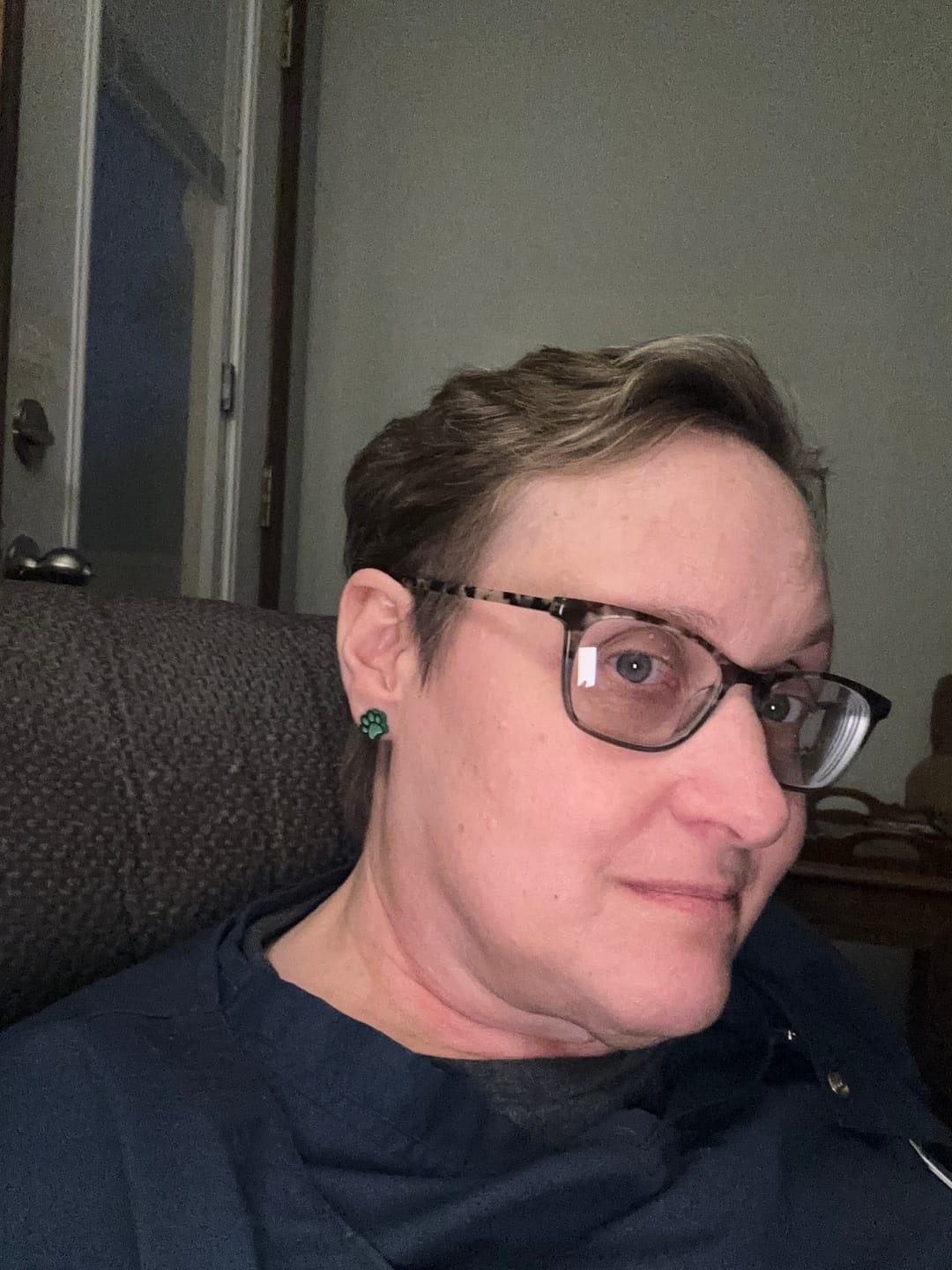 Customer photo review of Paw Print Studs Hypoallergenic Earrings for Sensitive Ears Made with Plastic Posts