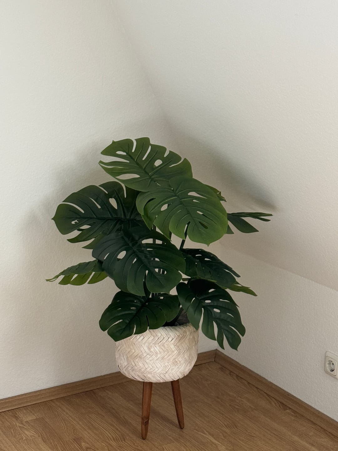 Customer photo review of Monstera Kunstpflanze A 80cm