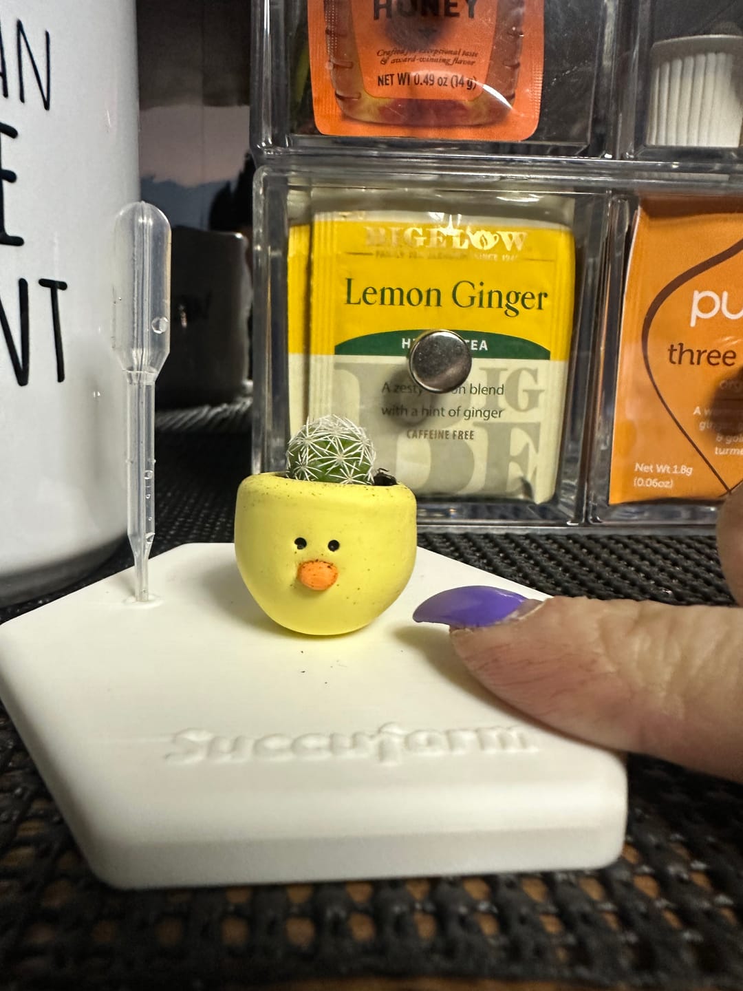 Customer photo review of Chick Magnet