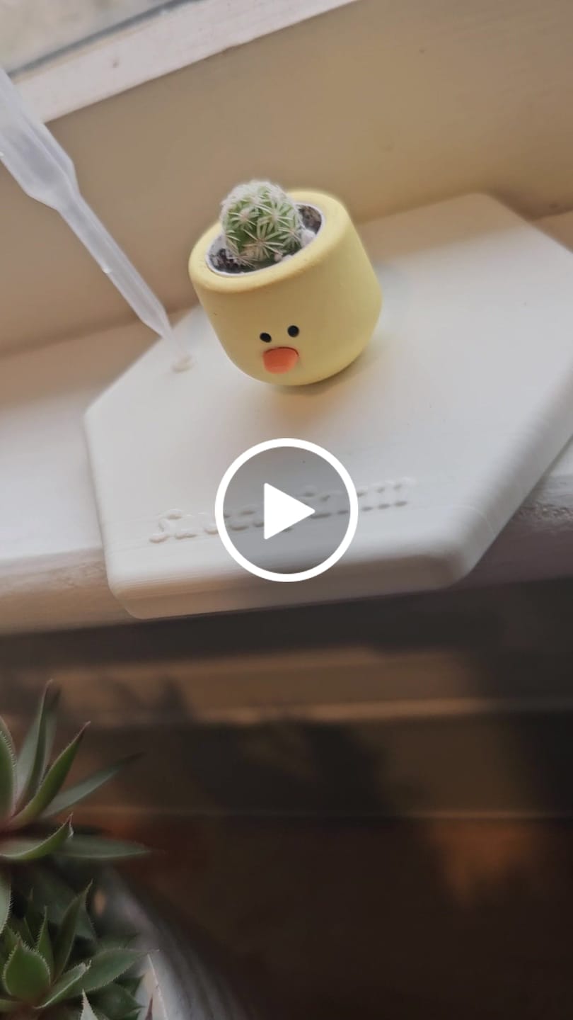 Customer video review of Chick Magnet