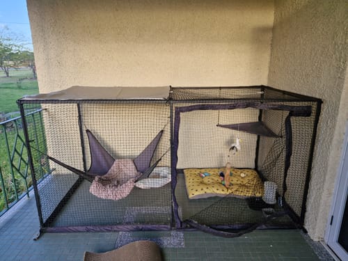 Customer photo review of Accessory Pack For The Cat Cabana Cat Enclosure