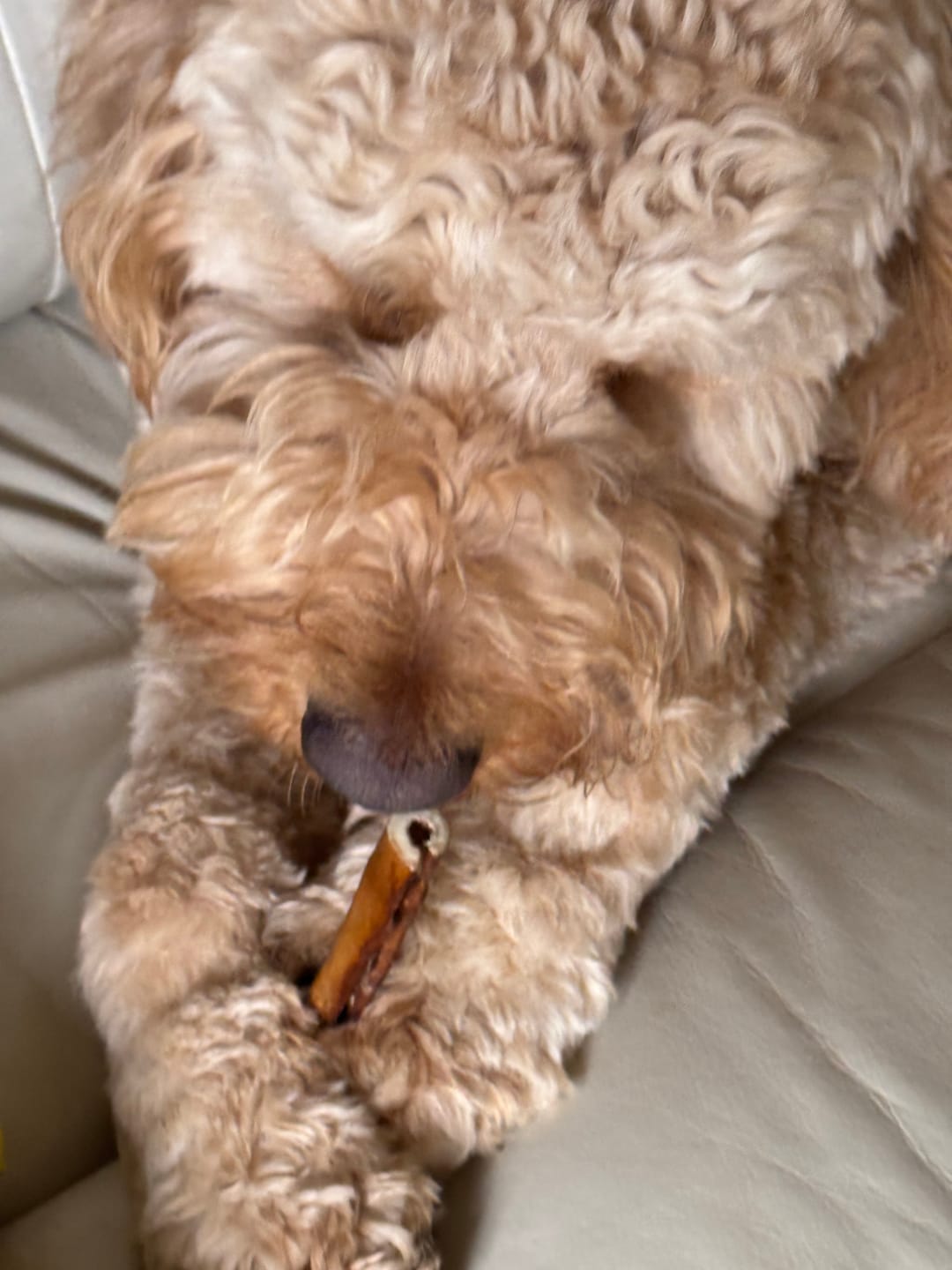 Customer photo review of Beef Cheek Sticks