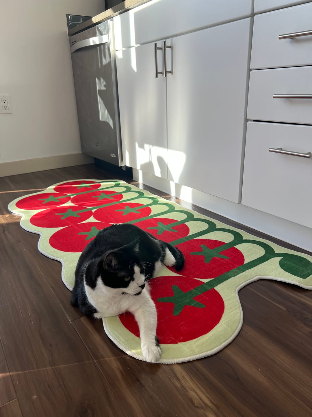 Customer photo review of Irregular Tomato Runner Rug by Johann Banta