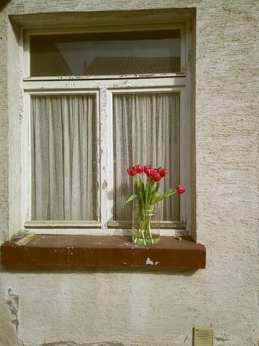 Customer photo review of NUVINT - Digitalkamera