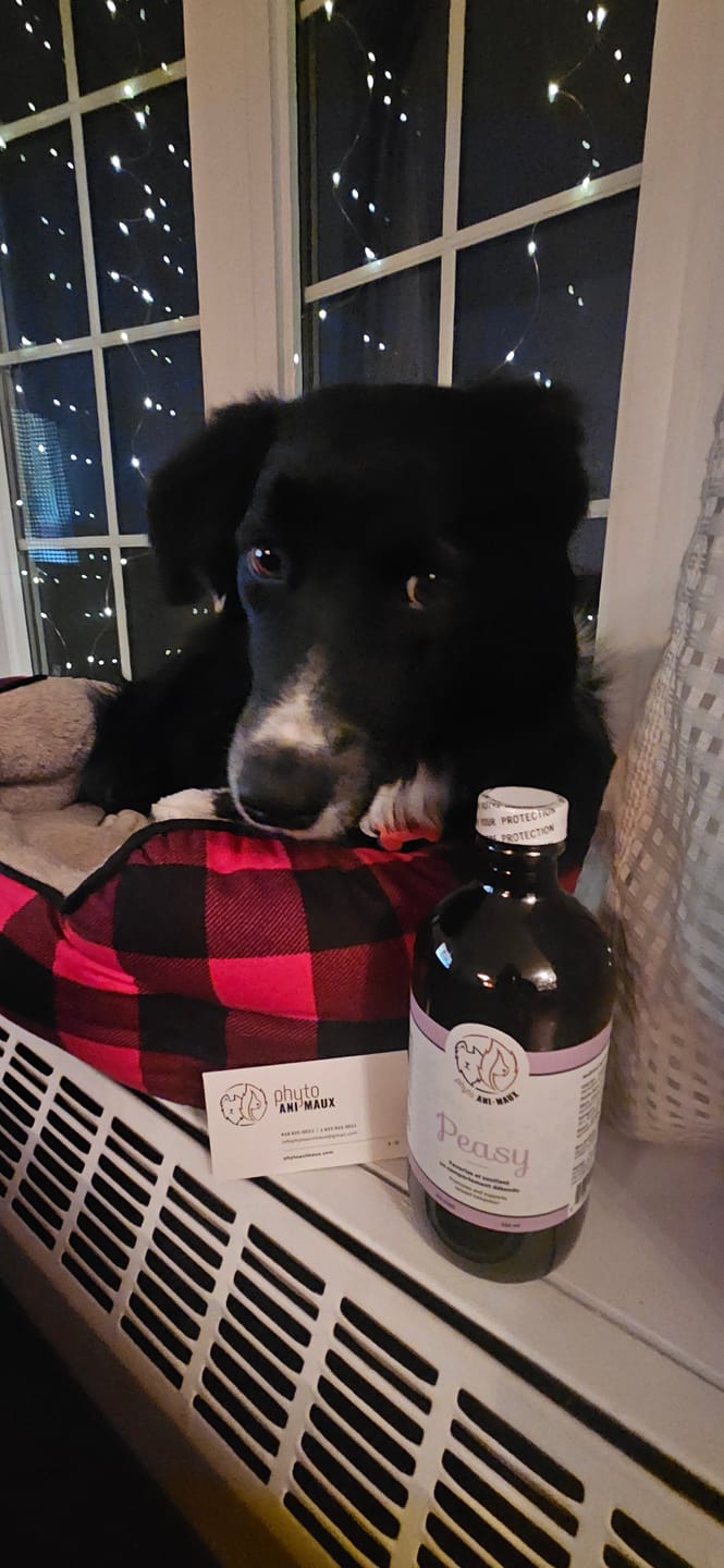 Customer photo review of PEASY (Stress, Anxiété, Nervosité)