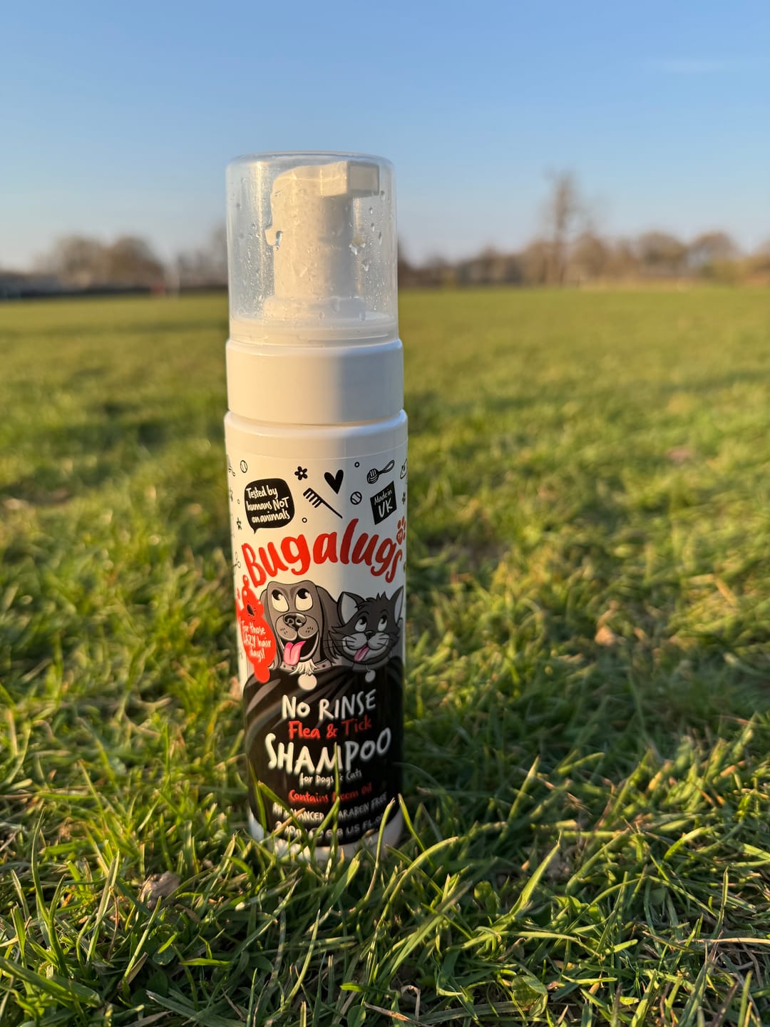 Customer photo review of Flea & Tick No Rinse Shampoo for Dogs & Cats