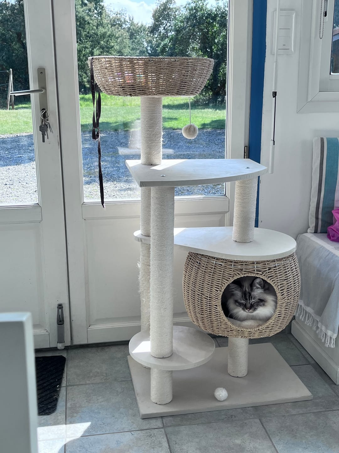 Customer photo review of Arbre à Chat - Escapade Etoilée