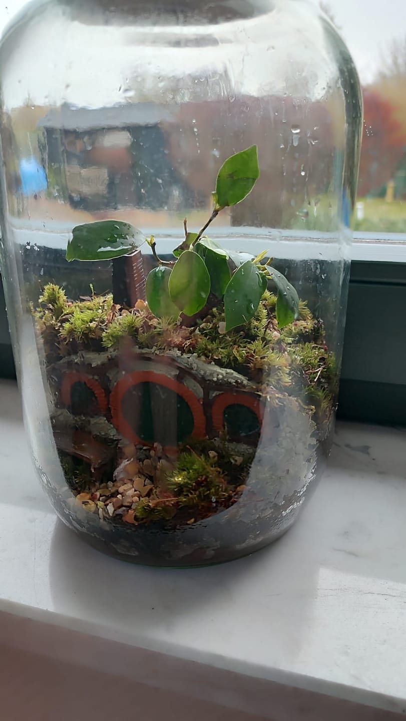 Customer photo review of Lieferung zum Wunschtermin