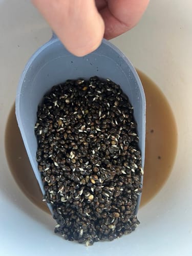 Customer photo review of Monsterkempzaad 15kg