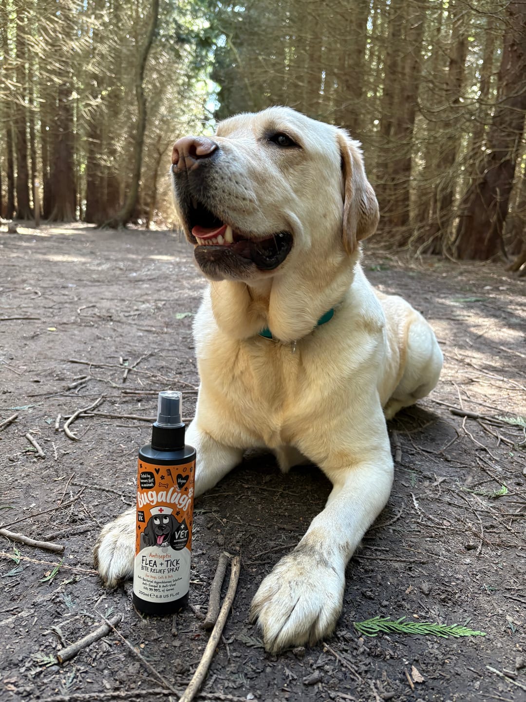 Customer photo review of Antiseptic Flea & Tick Bite Relief Spray for Dogs, Cats & Pets