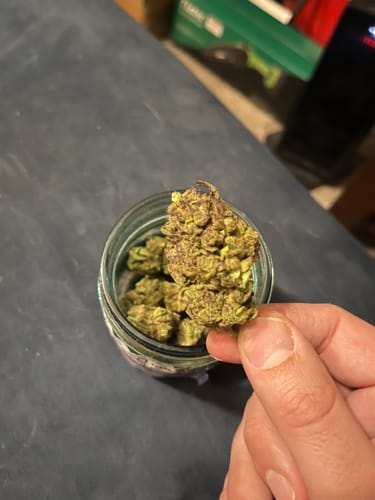 Customer photo review of Acapulco Gold