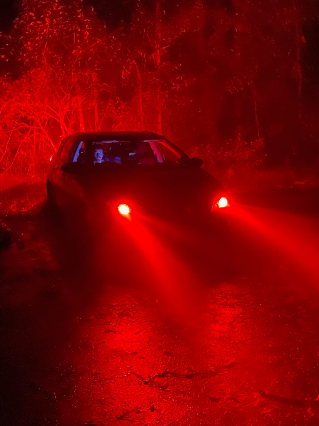 Customer photo review of Spectrum 2in1 LED Headlight Globes