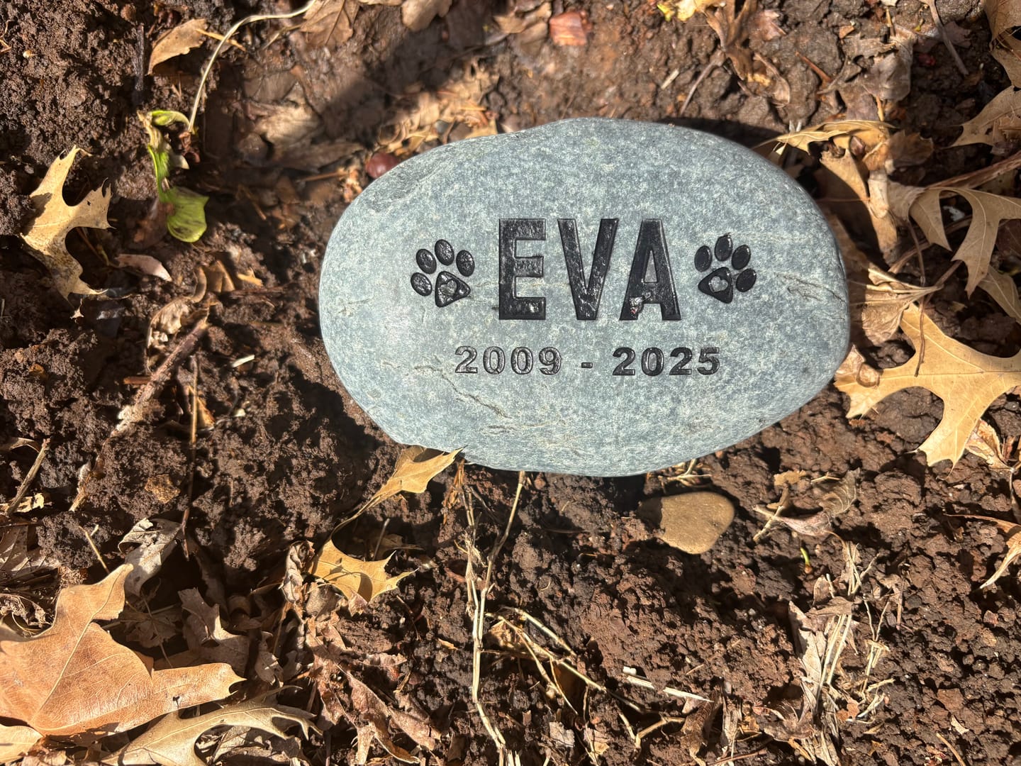 Customer photo review of Pet Grave Marker   Custom Engraved Pet Memorial Stone Paw Prints