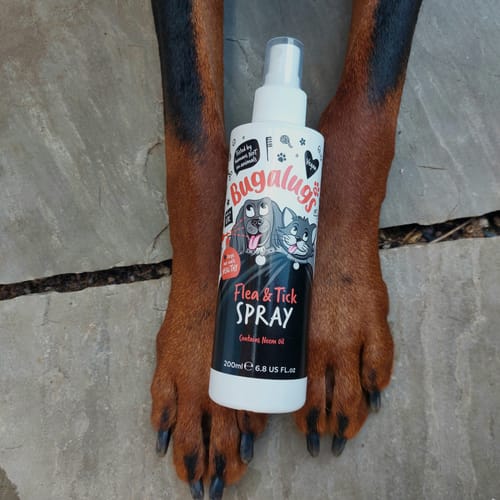 Customer photo review of Flea & Tick Spray with Neem Oil for Dogs & Cats
