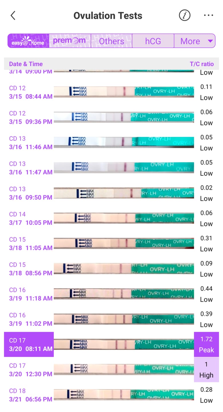 Customer photo review of Ovulation Test Strips