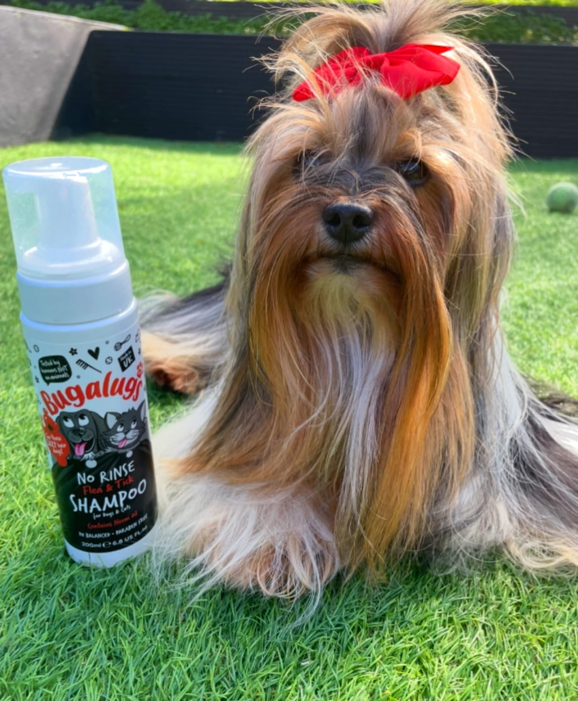 Customer photo review of No Rinse Flea & Tick Shampoo for Dogs & Cats