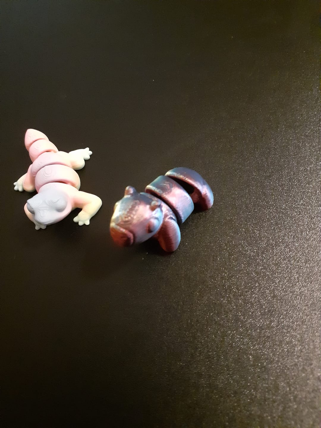 Customer photo review of Mystic Mini Pets