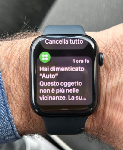 Customer photo review of SPOTMINDERS. Tracking card