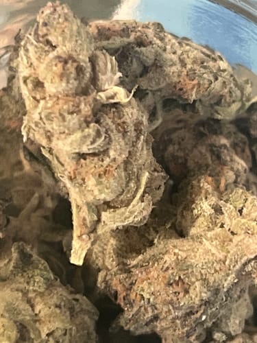 Customer photo review of Lemon Cherry Gumbo