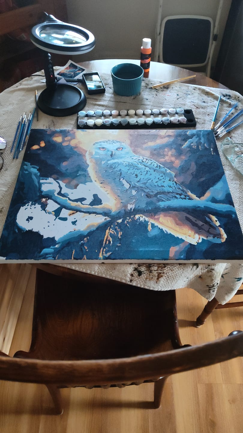 Customer photo review of Wintry Watchful