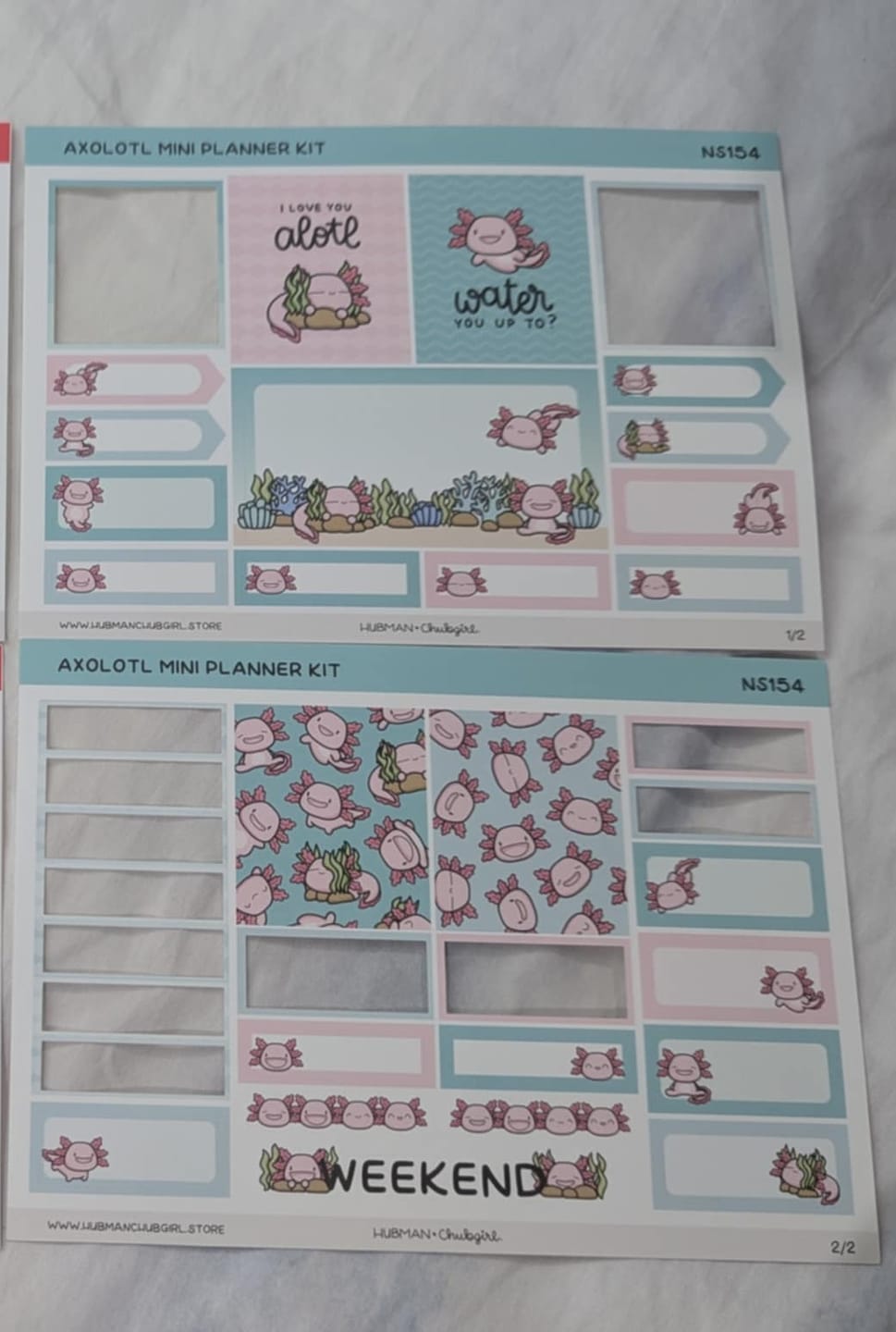 Customer photo review of Happy Axolotl Mini Planner Kit (Set of 2)