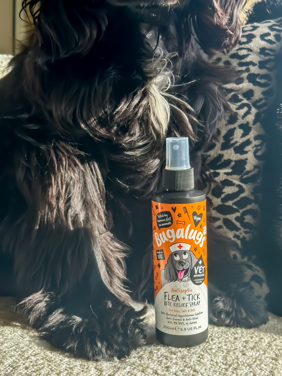 Customer photo review of Antiseptic Flea & Tick Bite Relief Spray for Dogs, Cats & Pets