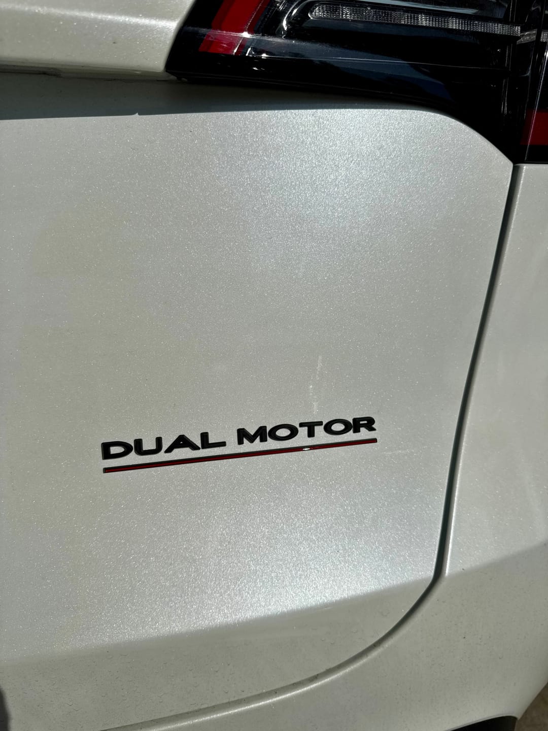 Customer photo review of Premium Dual Model Emblem Badge for All Teslas (5 Colors)