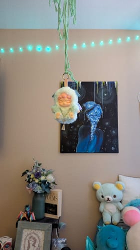 Customer photo review of Dora Shanhai Dream Series Vinyl Plush Blind Box