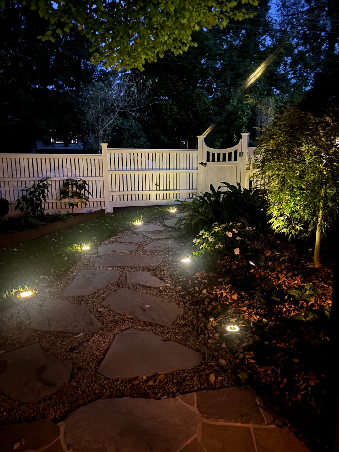 Customer photo review of Solar Ground Lights