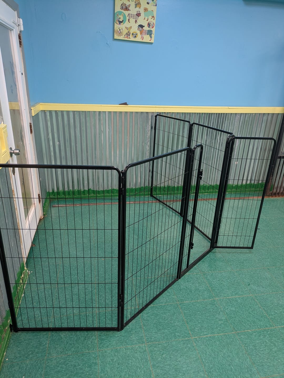 Customer photo review of Homeplus Dog Playpen for Indoor Use