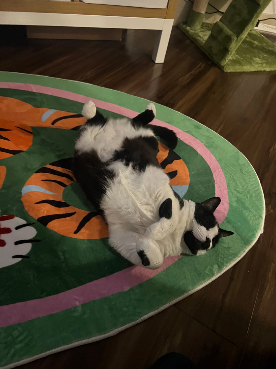 Customer photo review of Oval Tiger Area Rug by Lu Yang