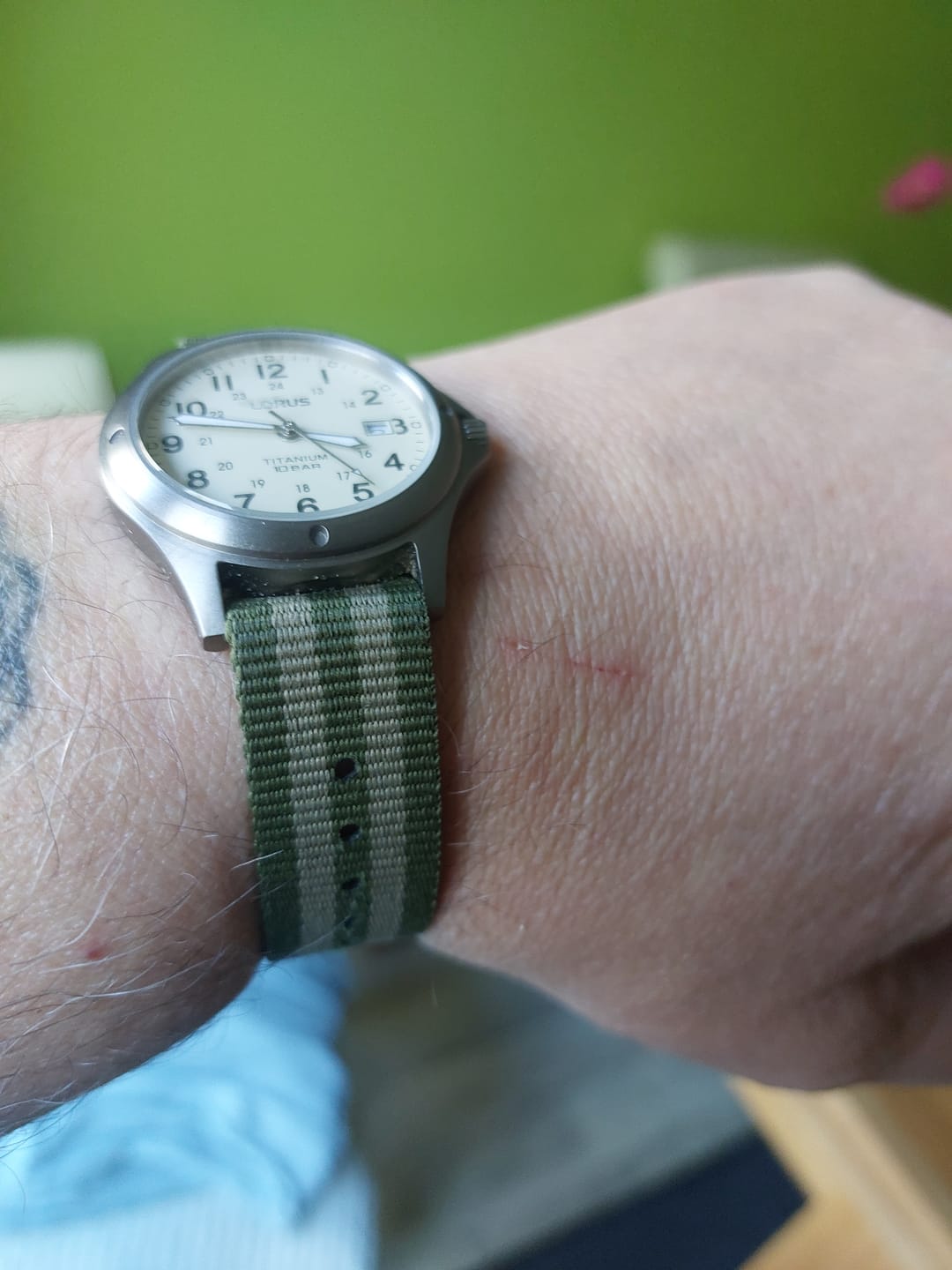 Customer photo review of Classic Military Style Strap -Olive Green and Khaki