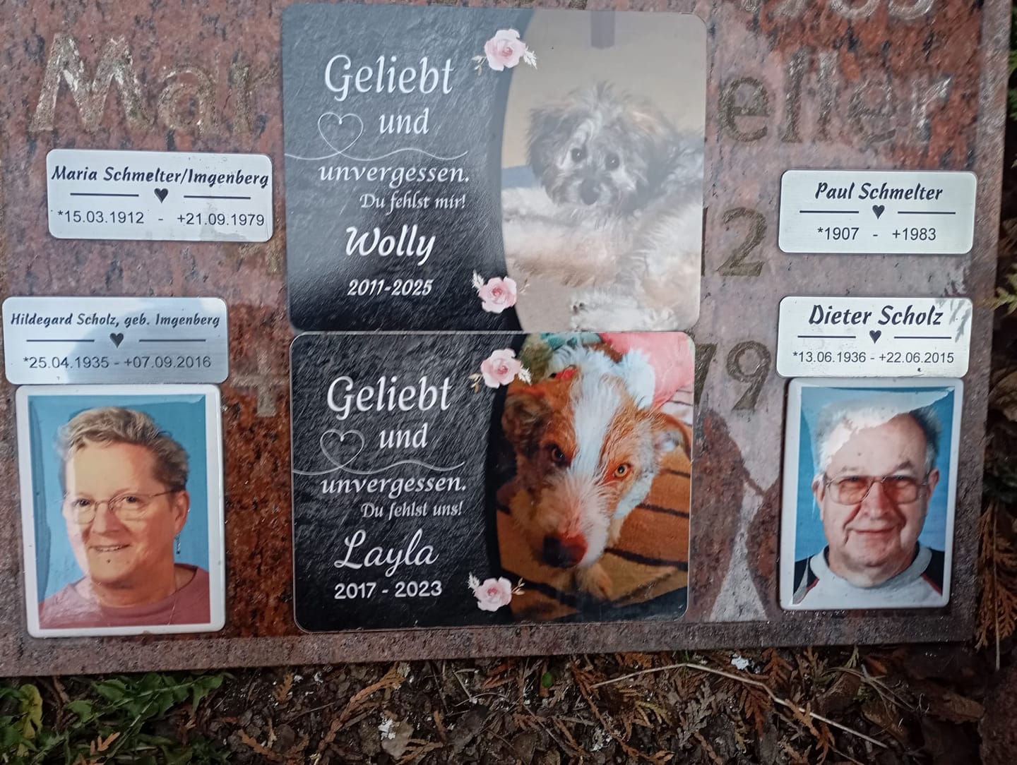 Customer photo review of Hunde Gedenktafel mit Foto & Spruch (UV- & Wetterfest)