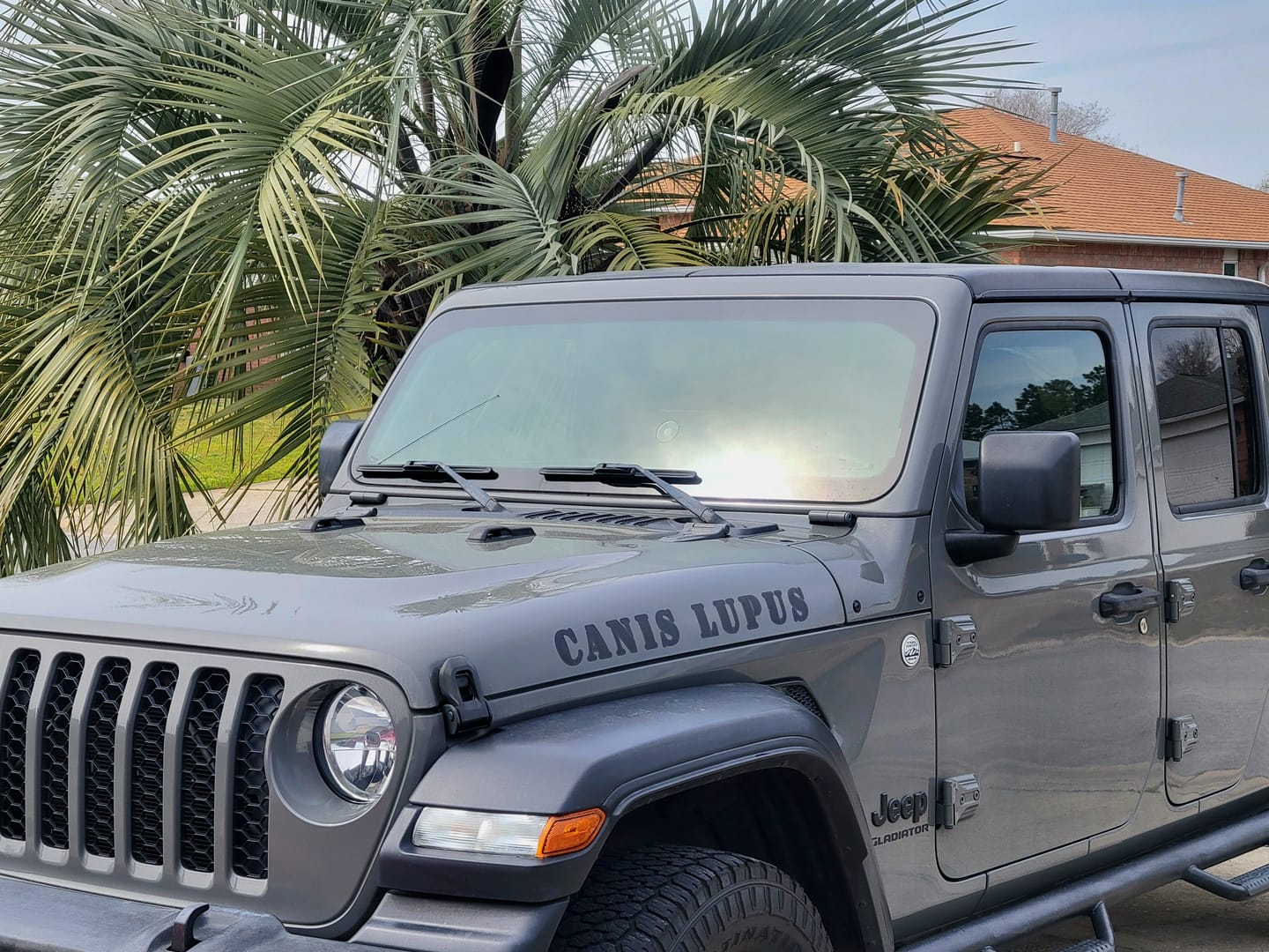 Customer photo review of Premium Hood Lettering | Set of 2