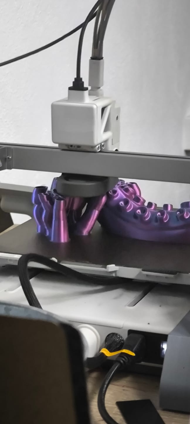 Customer photo review of PLA de seda