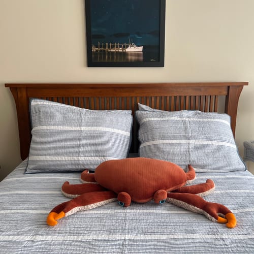 Customer photo review of The Crab