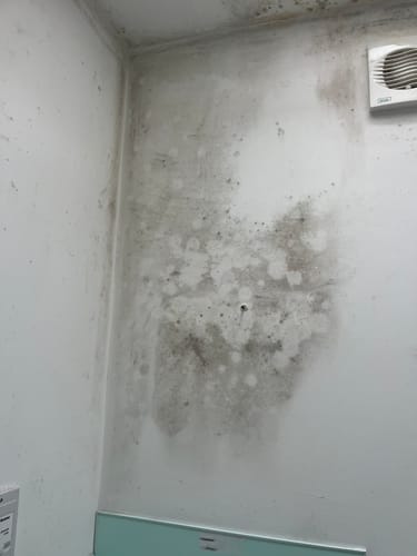 Customer photo review of Soapnuts For Planet Friendly Clothes and Dish Washing, Certified Organic in Eco Bags