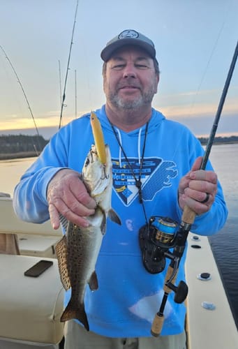 Customer photo review of PENN Battle III 2000