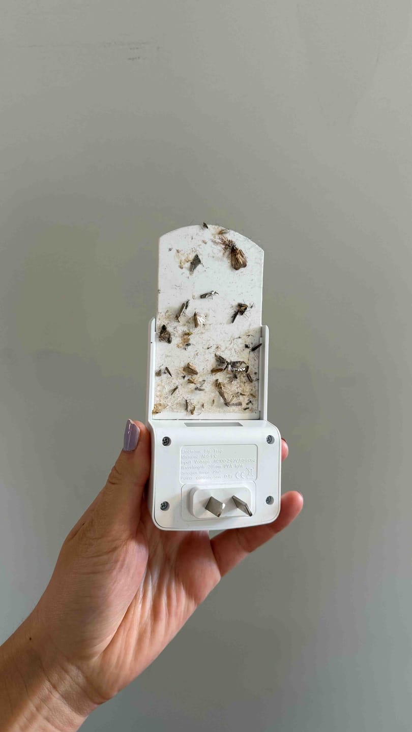 Customer photo review of Mozzigear Glow Guard - The Superior, Chemical-Free Flying Insect Trap