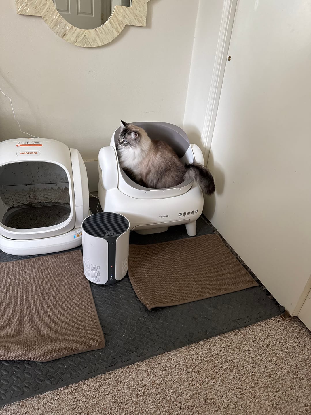 Customer photo review of Neakasa M1 Lite Open-Top Self-cleaning Cat Litter Box