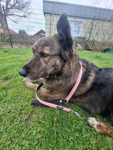 Customer photo review of 1.4m Active Light Lead - Pink