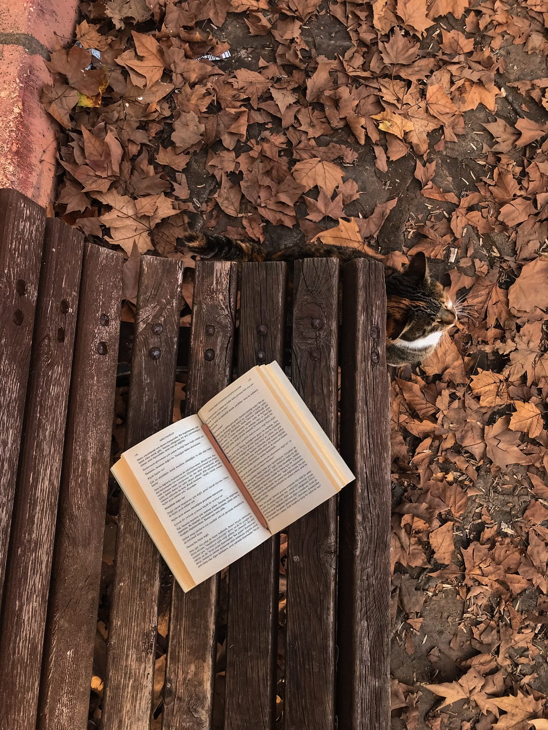 Customer photo review of AUTUMN GOLD LIGHTROOM PRESETS