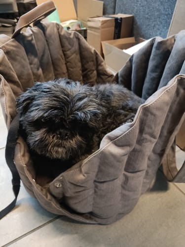 Customer photo review of Staey - Elva Hundetaske, Taupe