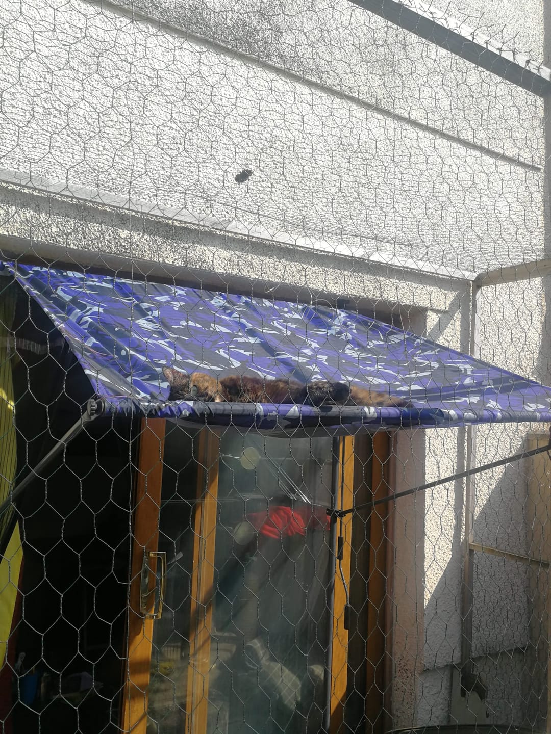 Customer photo review of Water Resistant Camouflage Ripstop Fabric