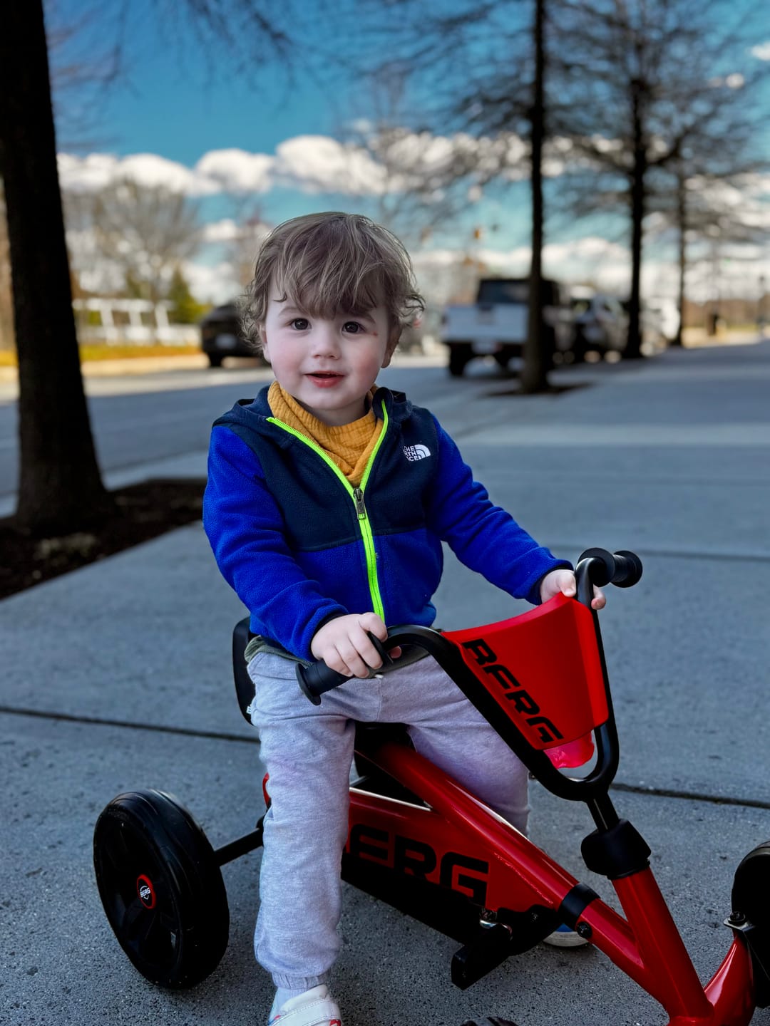 Customer photo review of BERG Buzzy
