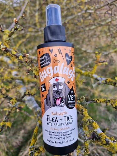 Customer photo review of Antiseptic Flea & Tick Bite Relief Spray for Dogs, Cats & Pets