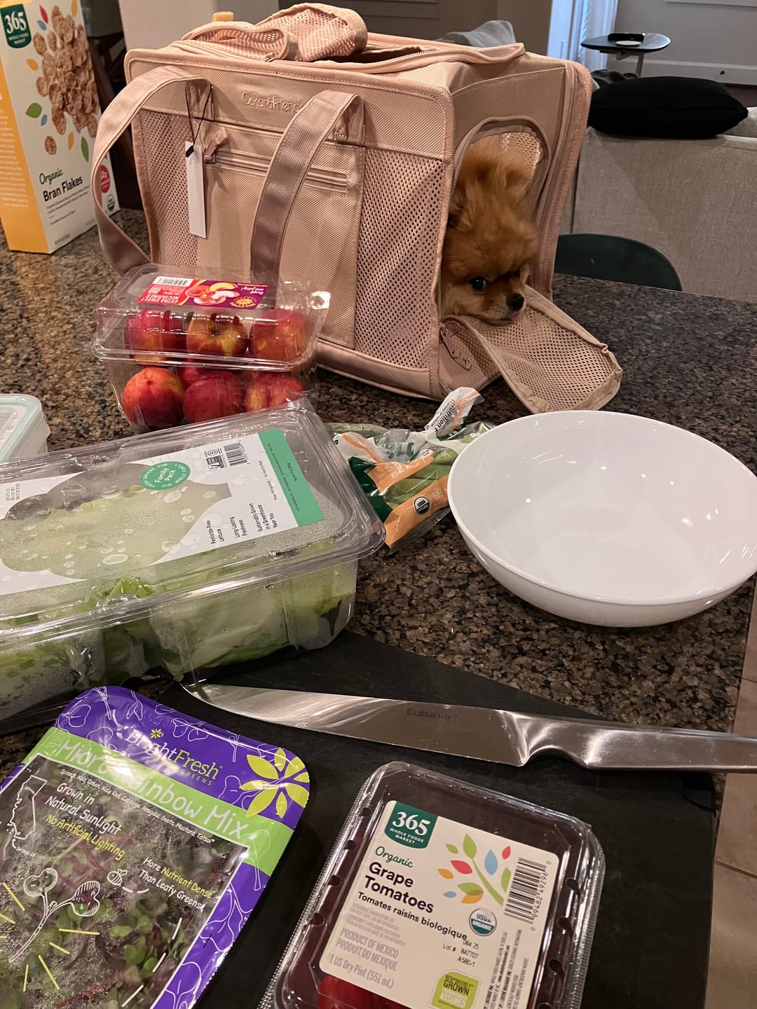 Customer photo review of Beige Pet Travel Carrier