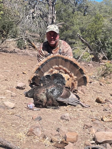 Customer photo review of Crystal Over Slate Pot Call - All Weather