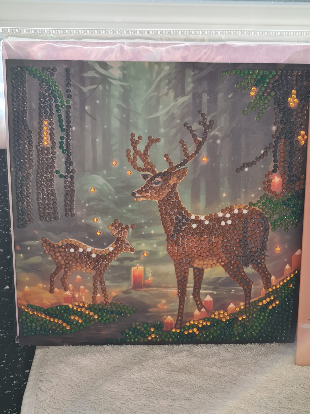 Customer photo review of "Enchanted Forest" Crystal Art Card 18x18cm