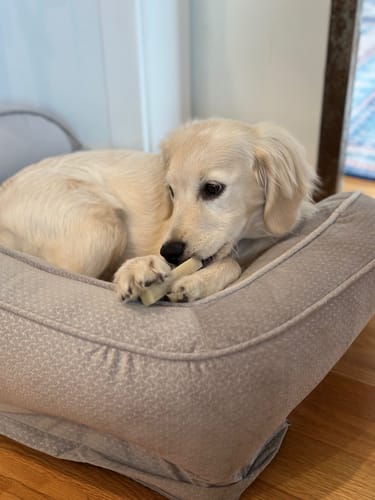 Customer photo review of Coconut Yak Chews